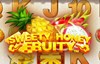 sweety honey fruity slot logo