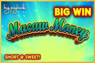 macaw money slot logo