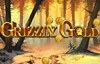 grizzly gold slot logo