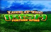 luck of the irish fortune spins slot logo