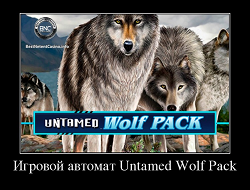 Слот Wolf pack от Microgaming