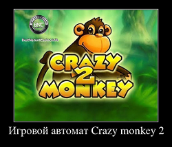 Слот Crazy Monkey 2 от казино Вулкан