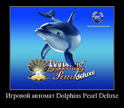 Слот Dolphins Pearl Deluxe от казино Вулкан
