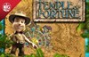 temple of fortune slot logo