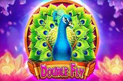 double fly слот