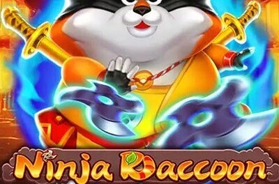 ninja raccoon слот