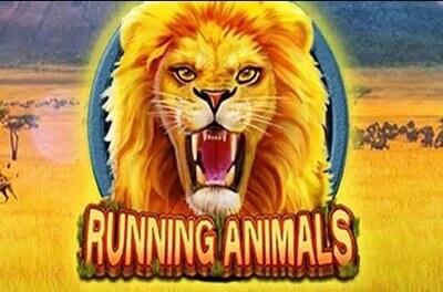 running animals слот