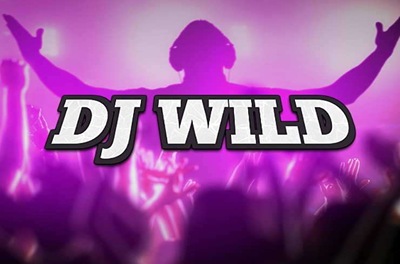 dj wild slot logo