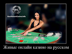 Живые онлайн казино на русском