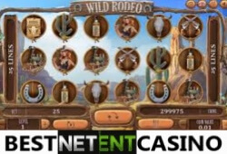 Игровой автомат Wild Rodeo