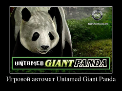 Игровой автомат Untamed Giant Panda