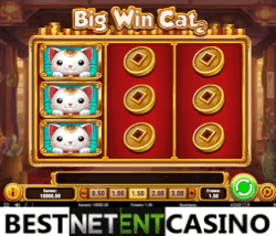 Big Win Cat video slot