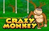 crazy monkeys slot logo