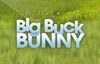 big buck bunny slot