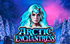 arctic enchantress slot