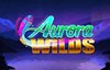aurora wilds slot logo