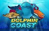 dolphin coast слот лого