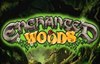 enchanted woods slot logo
