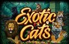 exotic cats slot logo