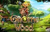 gnome wood slot logo