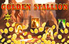 golden stallion slot
