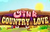 oink country love slot logo