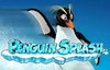 penguin splash слот лого