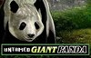untamed giant panda slot logo