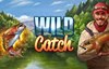 wild catch slot logo