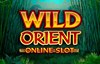 wild orient slot logo
