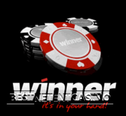 Winner казино