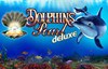 dolphins pearl deluxe слот лого