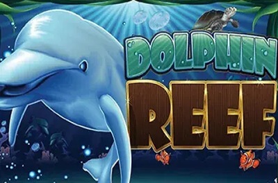 dolphin reef slot first