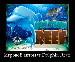 Игровой автомат Dolphin Reef