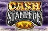 cash stampede slot logo