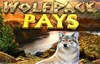 wolf pack pays slot logo