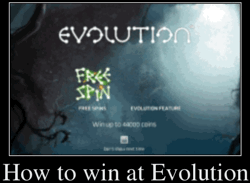How to win at Evolution