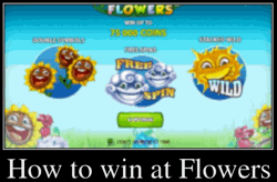 How to win at Flowers