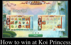 How to win at Koi Princess