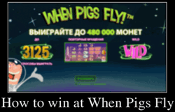 How to win at When Pigs Fly