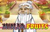 ninja fruits slot logo