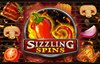 sizzling spins slot logo