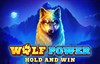 wolf power hold and win slot logo