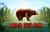 big bear слот лого