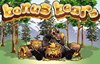 bonus bears slot logo