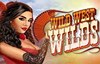 wild west wilds slot logo
