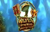 wild tome of the woods slot logo