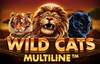 wild cats multiline slot logo