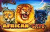african cats slot logo