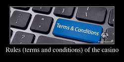 Rules (terms and conditions) of the casino